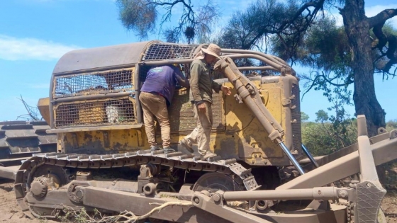 Detienen un desmonte ilegal en cercanías de Tres Isletas