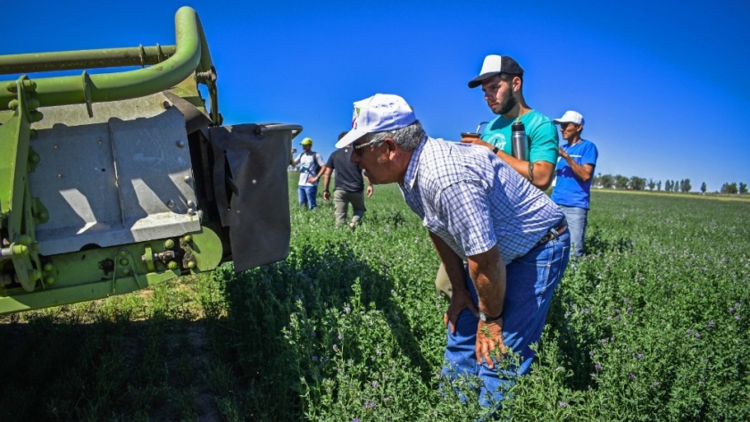 La Expo Alfalfa tendrá importantes disertantes del ámbito técnico y empresarial