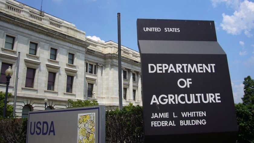 El USDA recortó 10,6% su proyección sobre las existencias finales de soja estadounidense