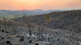 Agricultura declaró el estado de desastre agropecuario en Córdoba por los incendios