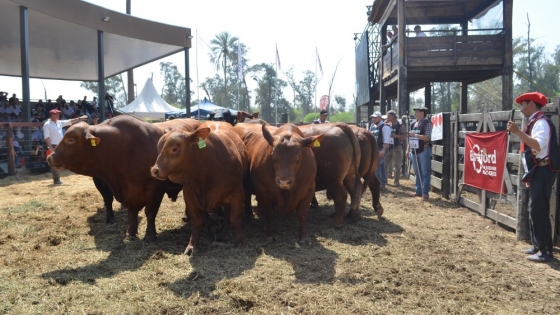 “Santiago Productivo”: la feria que muestra la fuerza del trabajo santiagueño
