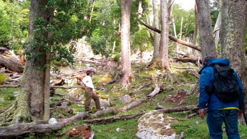 La SRG y la UCU apoyaron un estudio en defensa del bosque nativo