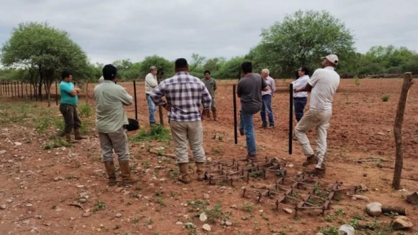 Buscan una producción sustentable de pasturas en Chaco Jujeño