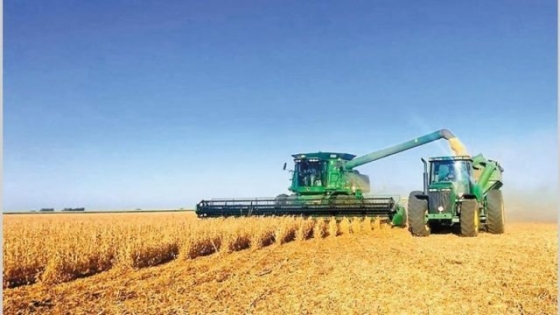 La actividad económica registró su primera caída mensual