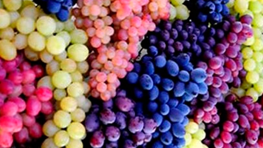 Cuáles son las seis cepas que producen los mejores vinos argentinos