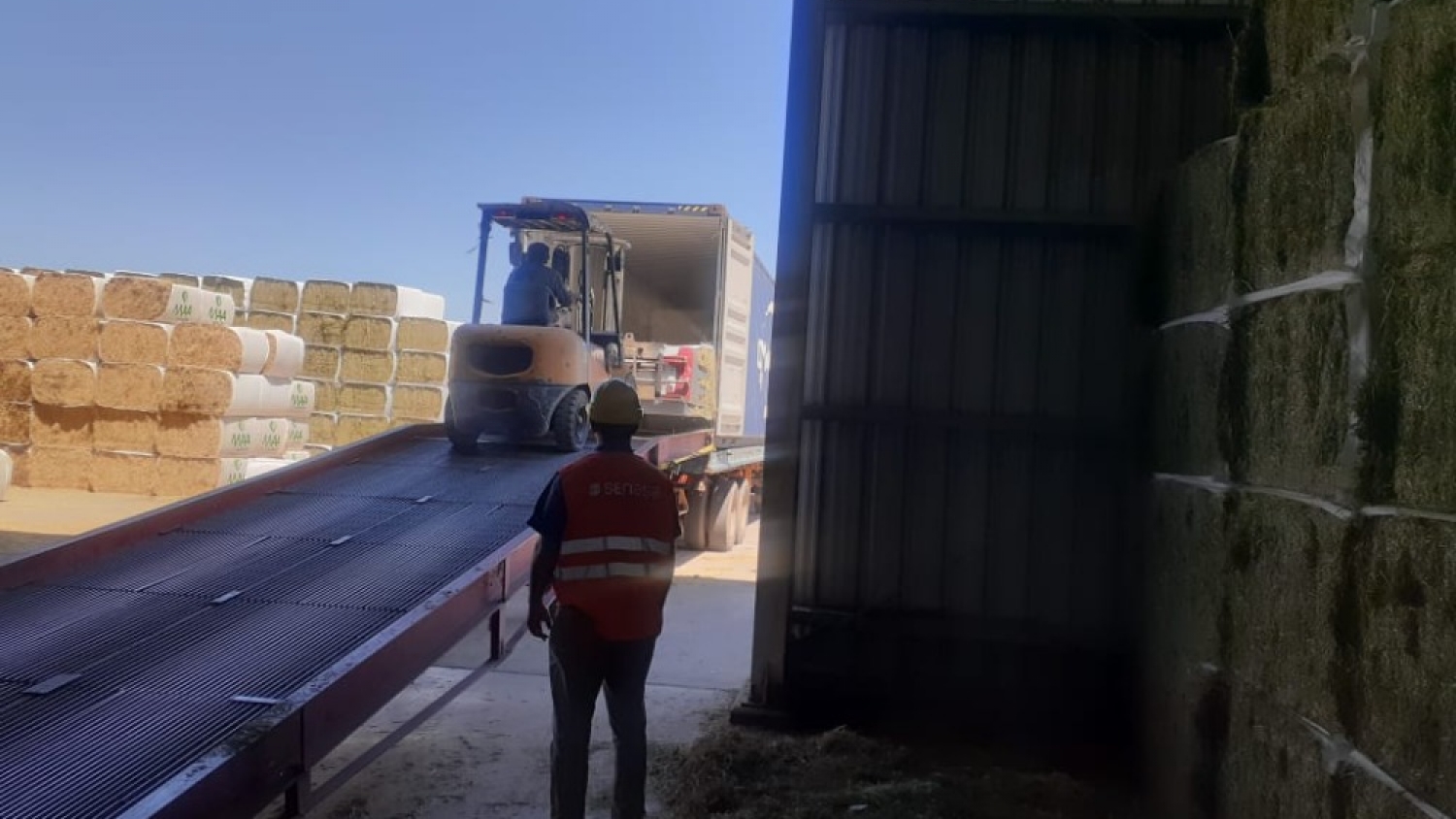 Las exportaciones de alfalfa desde Santiago del Estero crecieron 70% y consolidan nuevos mercados internacionales