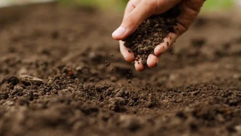 Es ahora: qué senderos tiene que “corregir” el agro para atender a los desafíos globales
