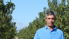 De ganadero a almendricultor: apuesta al cultivo en auge