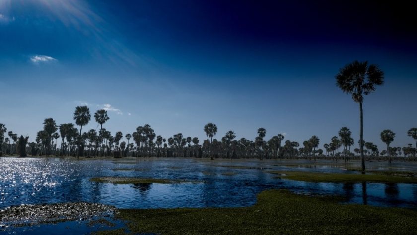 Ambiente realizará un taller sobre adaptación al cambio climático