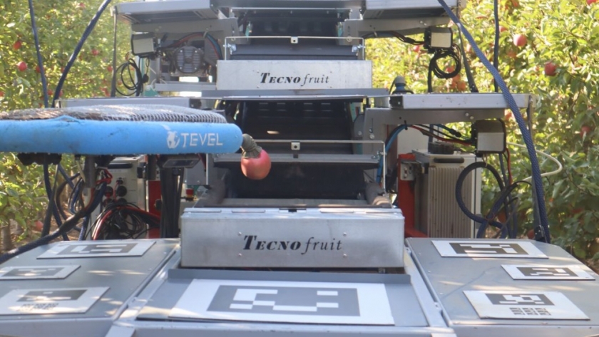 Tecnología revolucionaria: drones autónomos sustituyen a cosecheros humanos en la recolección de manzanas en Israel