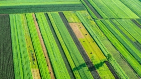 La importancia de la planificación de cultivos y rotación en la agricultura