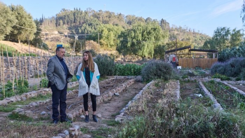 Irrigación junto al Liceo Agrícola pondrán en marcha el riego de césped y vides con aguas grises