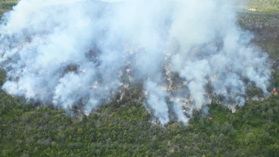 Nación suma recursos para combatir el incendio forestal en cercanías de El Bolsón