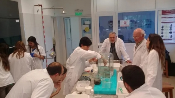 La UTN de Chubut lanza el CIDAPAL: Un faro de innovación en ciencia y tecnología para la Patagonia