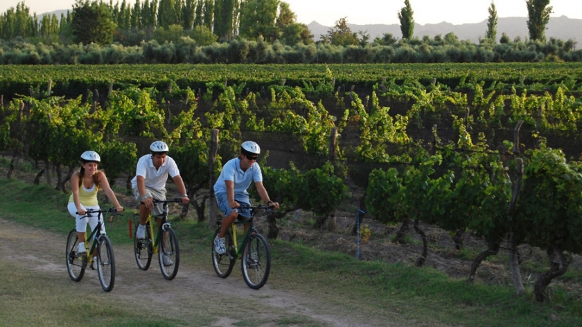 Mendoza será parte de un nuevo seminario virtual sobre enoturismo
