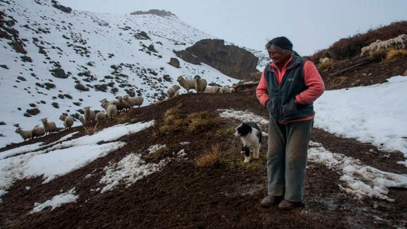 Pobladores rurales: una vida de soledad y sacrificio