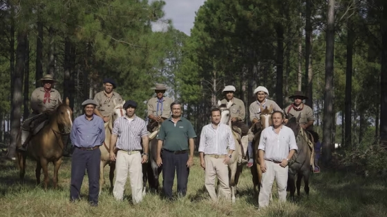 Innovación y diversificación: el modelo agroforestal que marca tendencia en Corrientes