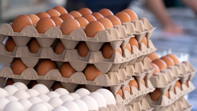 Huevos argentinos conquistan Europa: se agotó en dos semanas el cupo sin aranceles para exportar a la UE