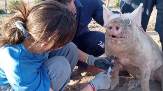 Sol Puntano abre sus puertas para formar a futuros veterinarios