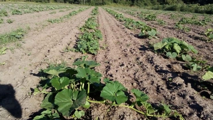 Emergencia sanitaria: con la compra de maquinaria y el pago del fondo coparticipable se refuerza la contención a productores de la agricultura familiar