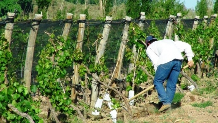Seguro Agrícola: comenzó el cronograma de pagos compensatorios