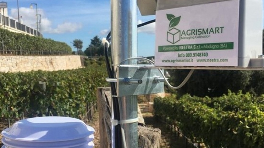 Agrismart, la caja inteligente de IoT dedicada a la agricultura 4.0