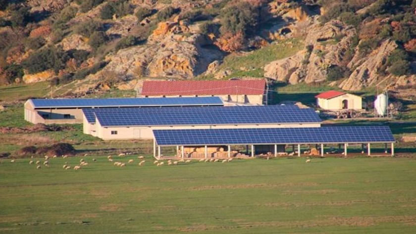 Riego fotovoltaico para una agricultura más sostenible