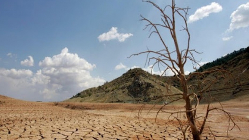 Día Internacional contra el Cambio Climático
