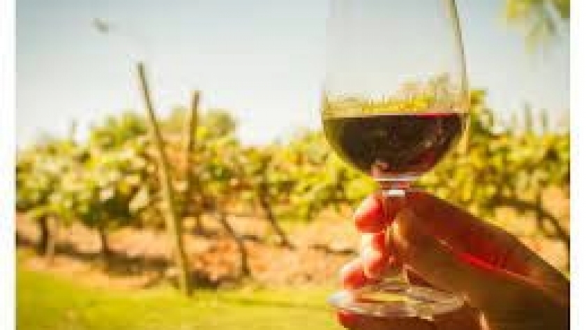 Jornadas Nacionales de Turismo del Vino en San Juan