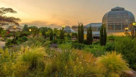 The United States Botanic Garden: el tesoro de Washington 