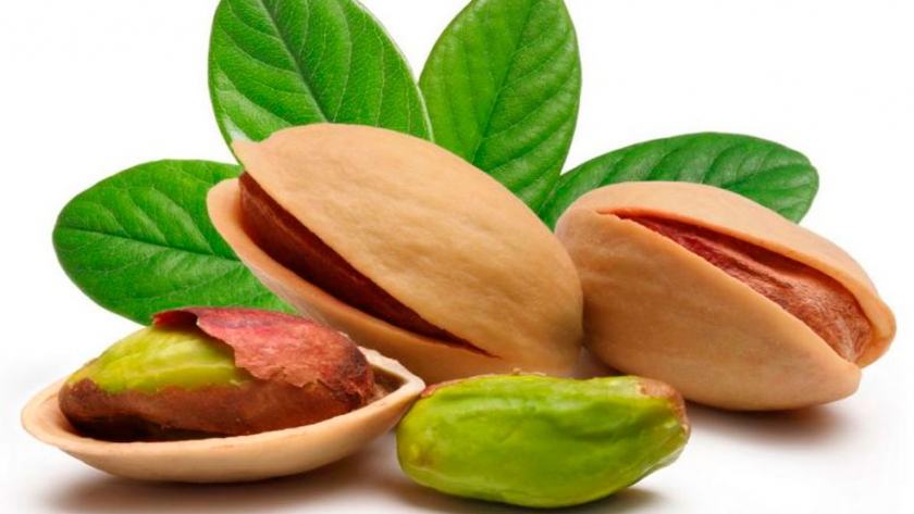San Rafael, Alvear y Lavalle son los principales productores de pistacho en Mendoza