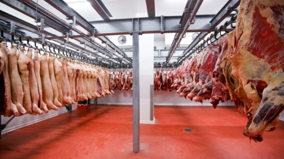 Paraguay se prepara para iniciar la exportación de carne vacuna a Canadá en abril