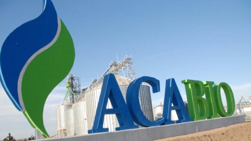 ACABio tiene planes para crear una empresa gigante con capacidad para procesar 675.000 toneladas anuales de maíz (con el marco legal adecuado)