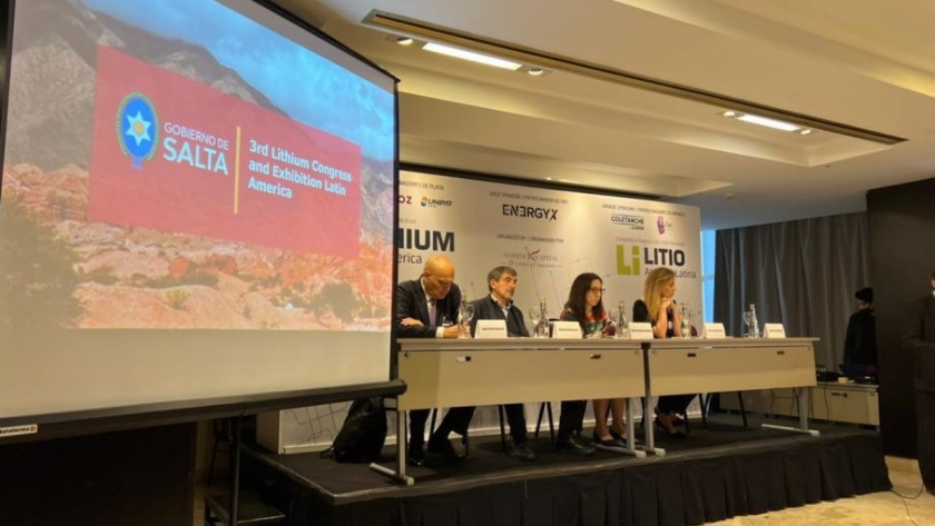 El Gobierno promociona en Buenos Aires su política de desarrollo de litio