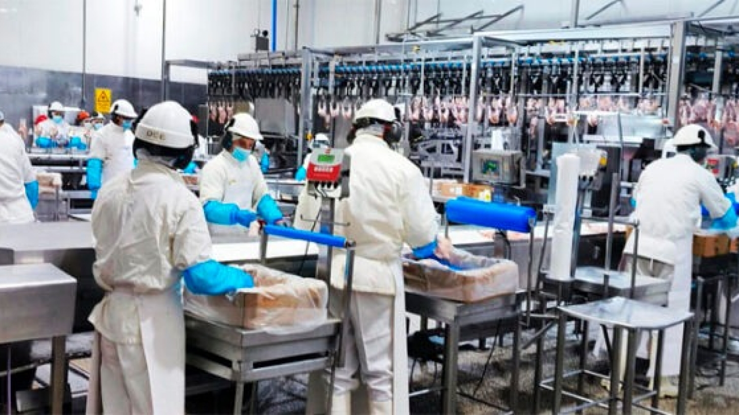 La UAA suma una certificación internacional para su planta avícola
