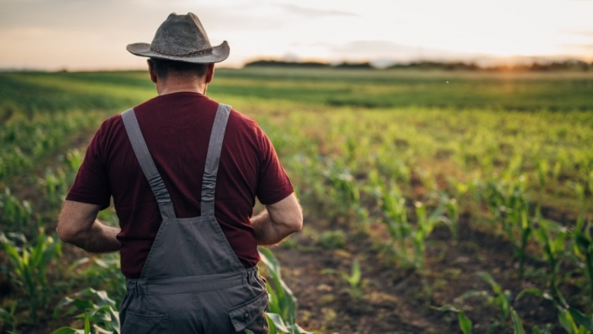 Fields of prosperity: a comparative look at rural heartlands in the USA and Argentina
