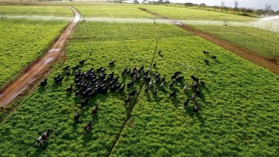 Riego por pivot y tecnología de precisión para asegurar los rindes: una de las propuestas en Agroactiva 2024