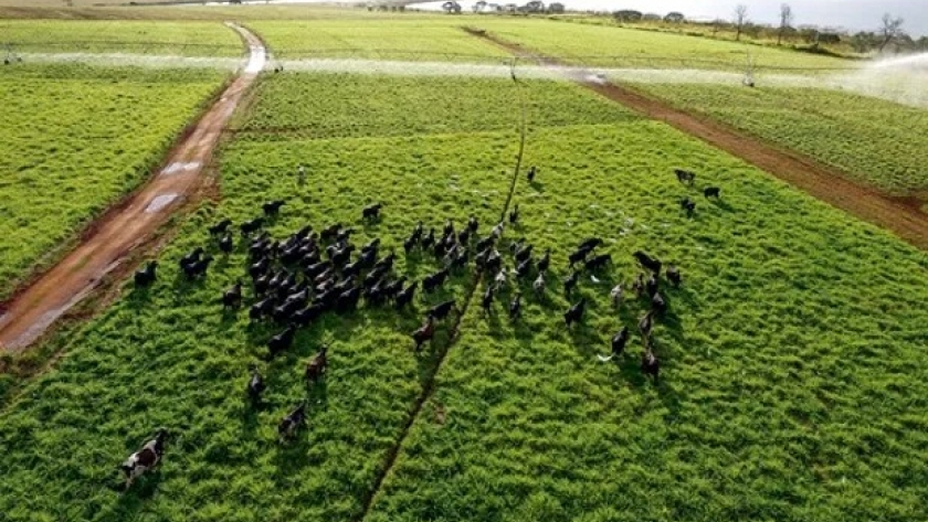 Riego por pivot y tecnología de precisión para asegurar los rindes: una de las propuestas en Agroactiva 2024