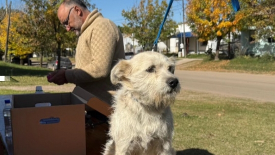 Más de 300 mascotas vacunadas en la Campaña Antirrábica por el Día del Animal