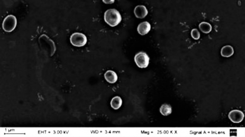 Crean nanoherbicidas para reducir el impacto ambiental de los agroquímicos
