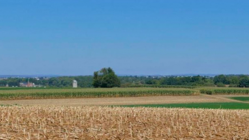 Barbecho para Soja y Maíz: La importancia de iniciar el ciclo con el pie derecho