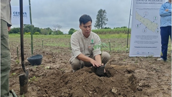 El CEDEVA capacitó a productores formoseños sobre el cultivo de mamón