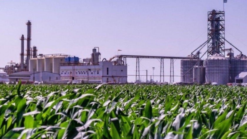 Argentina fortalece la producción de biocombustibles: Nueva levadura autorizada