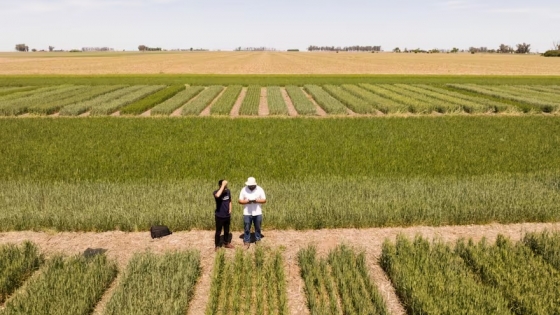 El Gobierno agiliza la inscripción de nuevas variedades vegetales y elimina trámites obsoletos