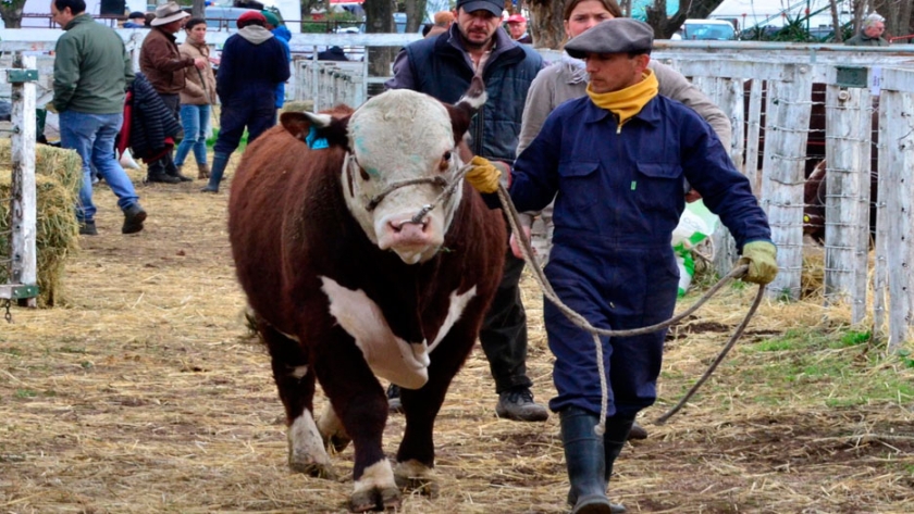 La Expo Rural de Viedma y Carmen de Patagones alcanzó los $25 millones en ventas
