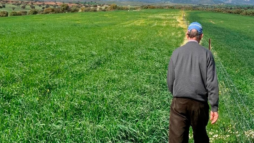 La pandemia del COVID, se  resalta la importancia de mantener en equilibrio los agroecosistemas