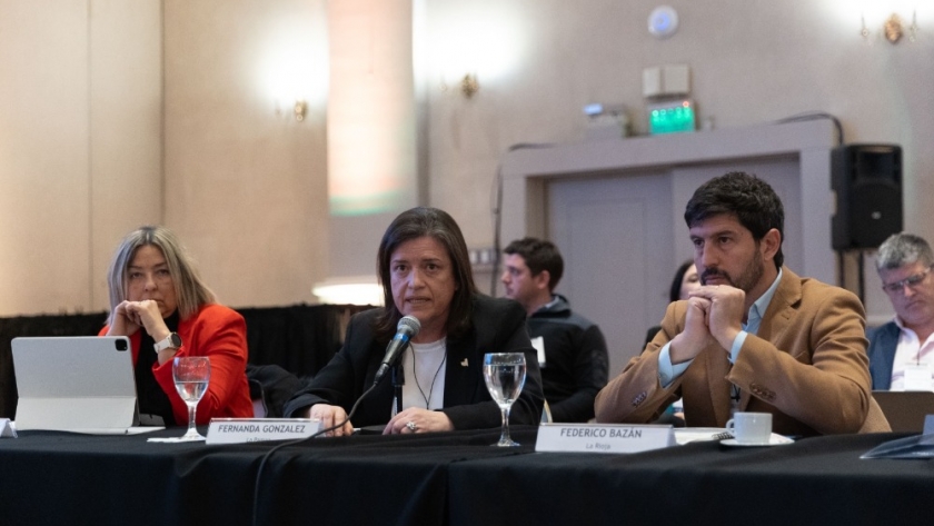 Políticas Productivas: La Pampa instó al Gobierno nacional a 