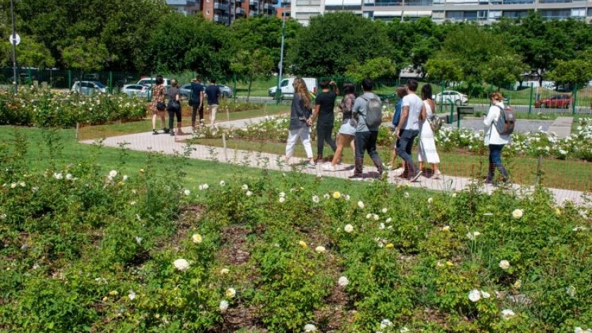 Ya se encuentra renovado el Rosedal en Puerto Madero