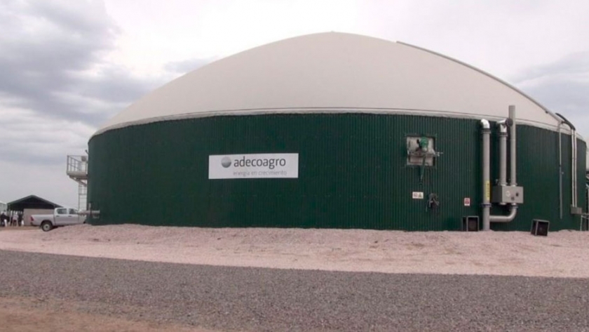 Adecoagro lidera la plaza láctea nacional