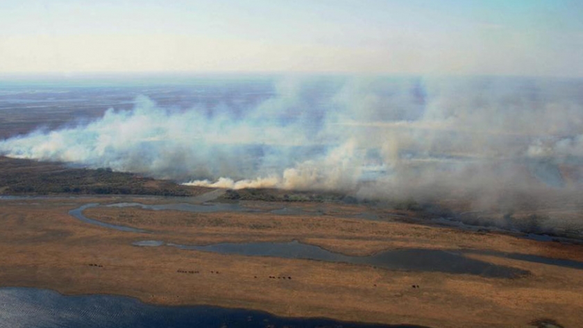 Quemas del delta del Paraná: autoridades ambientales federales manifestaron su preocupación